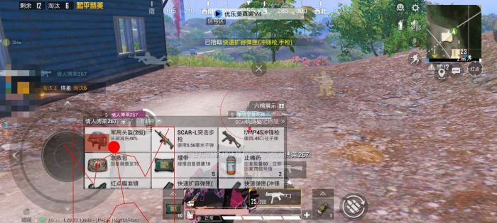 和平精英文件包免费文件 - 辅助配置全解锁